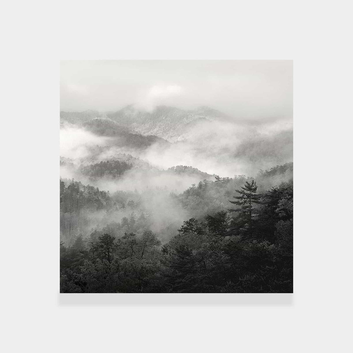Spring Mist, Smoky Mountains – Printano Art