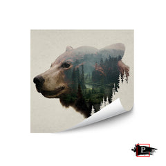 Pacific Northwest Black Bear