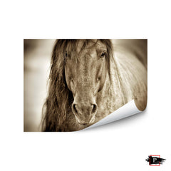 Mustang Sally