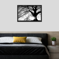 Oak Silhouette
