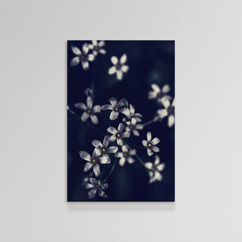 Floral/Still Life