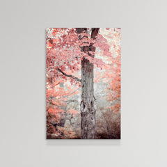 Pink and Coral Maple Tree