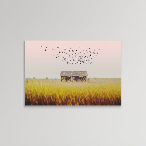 Barns
