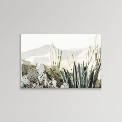 Desert