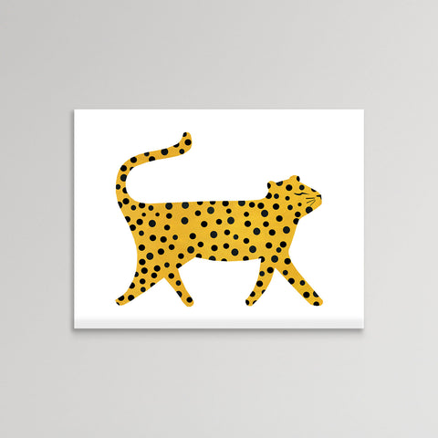 Cheetahs