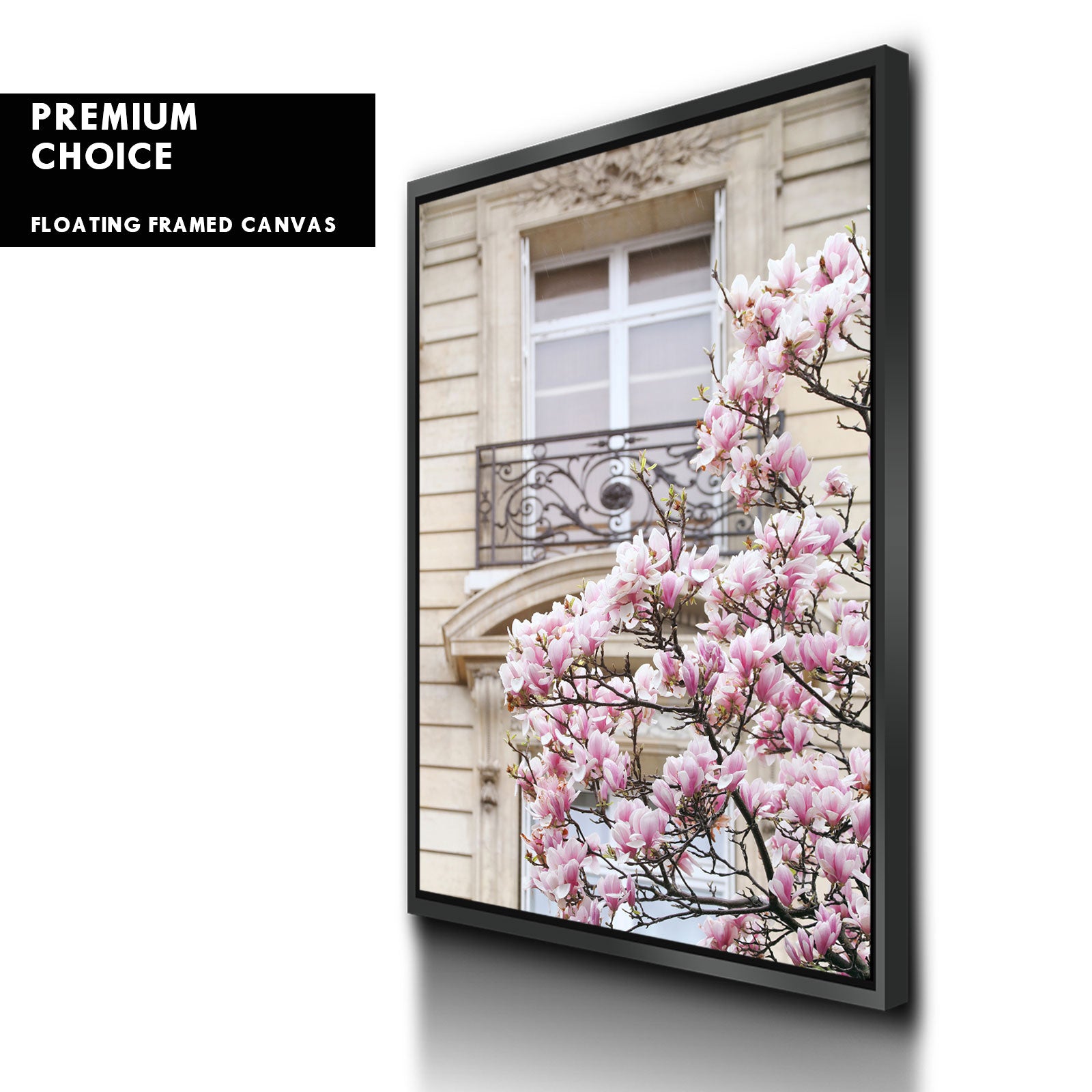 Spring Magnolias in Paris