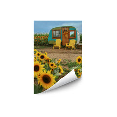Vintage Camper and Sunflowers 1
