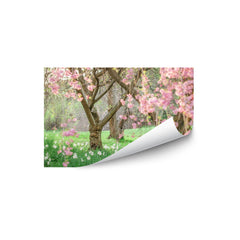 Springtime Fairytale Cherry Tree