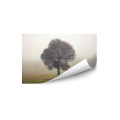 Tree In The Mist