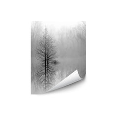 Lake Trees in Winter Fog