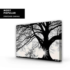 Oak Silhouette