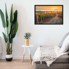 Vineyard Sunrise