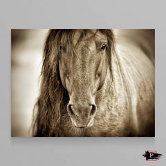 Mustang Sally