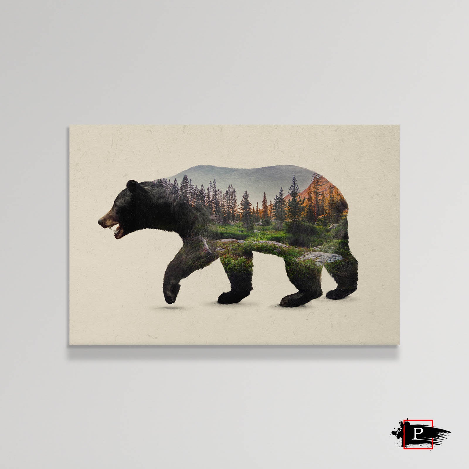 The North American Black Bear