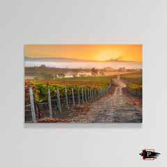 Vineyard Sunrise