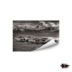 Mountain Range Mavericks